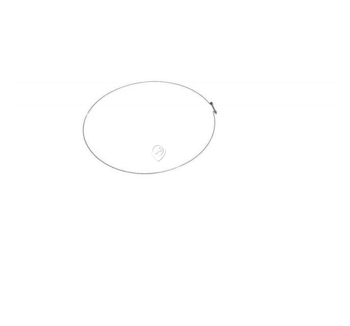 Colier Garnitură și Arc de Tensiune pentru Mașini de Spălat Whirlpool și Indesit