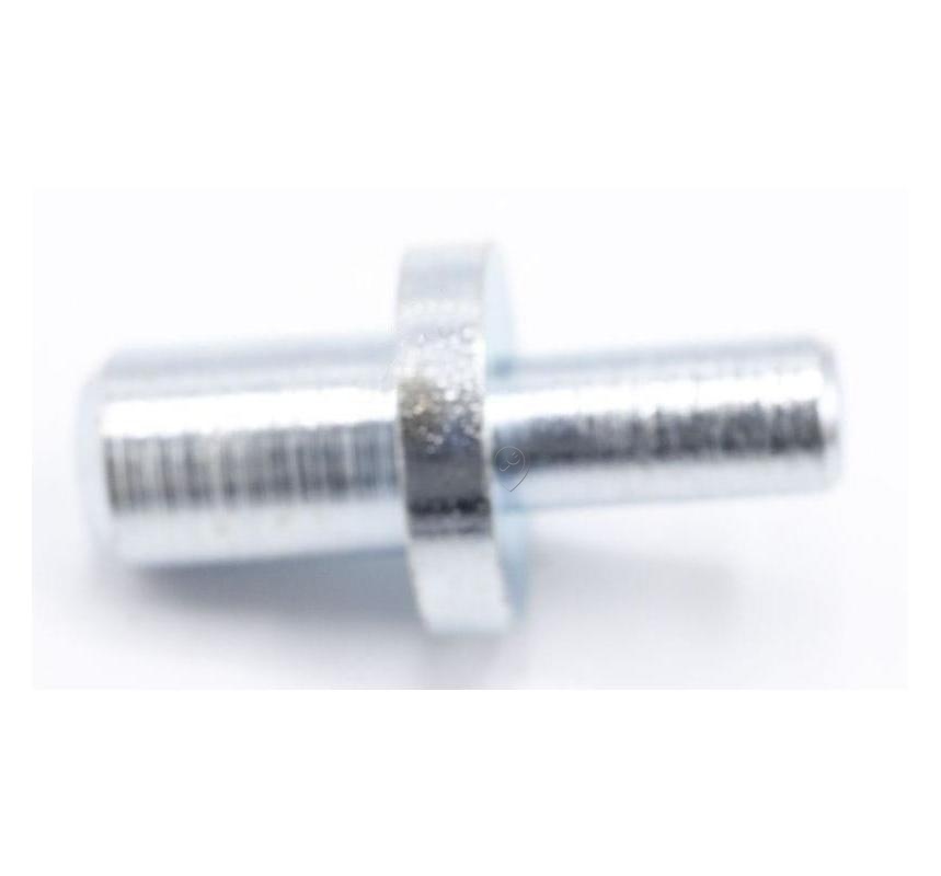 Șurub pivotant Beko Grundig Arcelik 4205850100 - C00910685 pentru balama pini