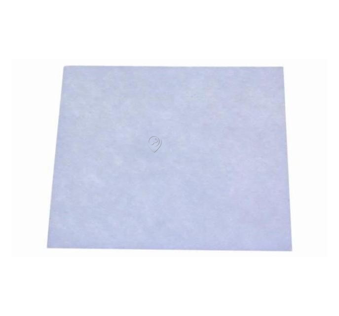 Filtru Aspirator Philips CRP421/01 422245946271