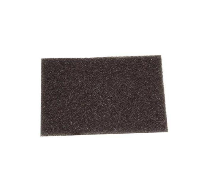 Filtru Motor Aspirator AEG/Electrolux Original 9000844887