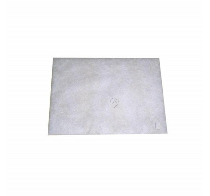 Filtru motor aspirator Bosch/Siemens 00095772 și FILTERCLEAN MF2 000098-F pentru protecție universală