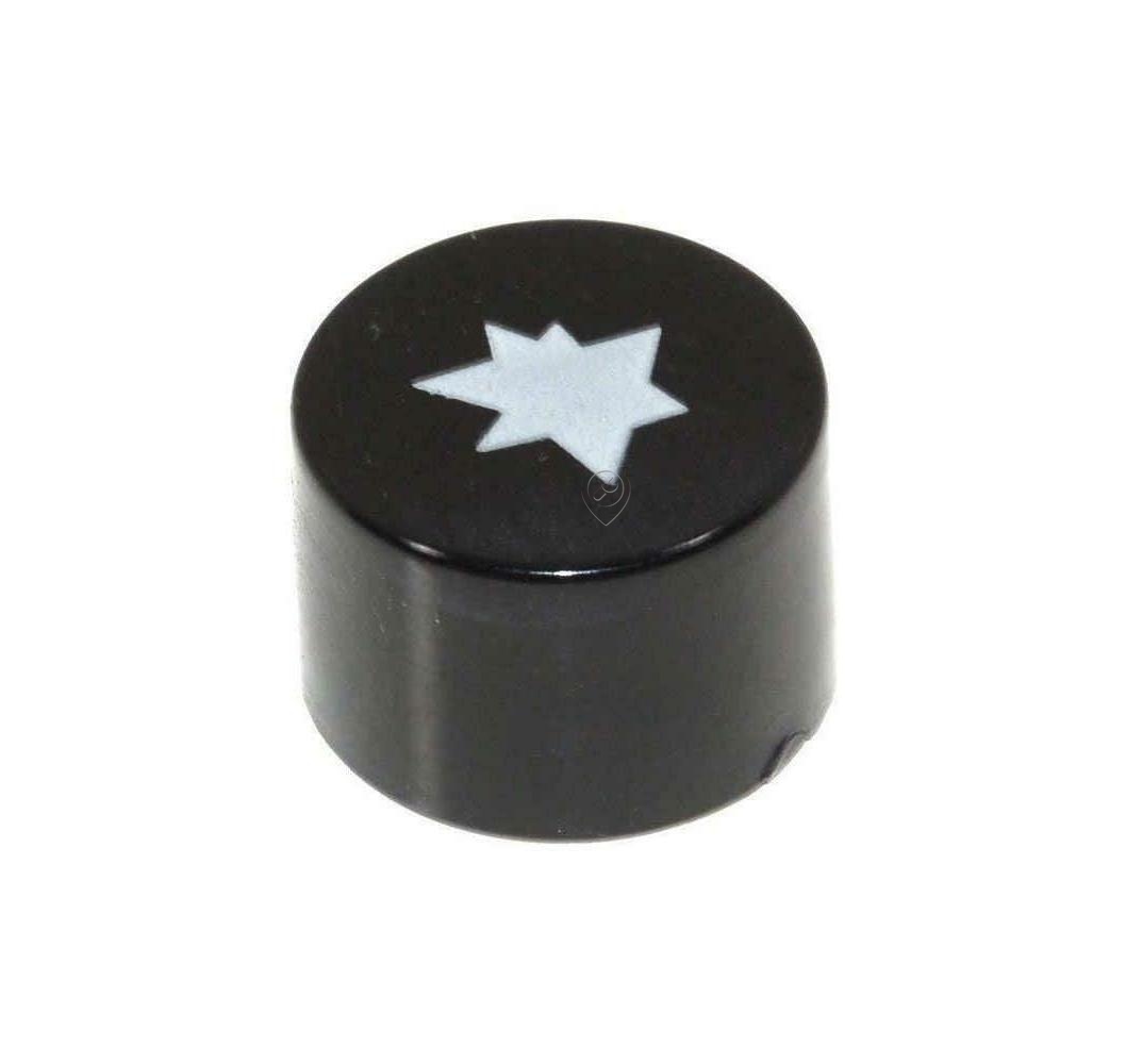 Buton aprindere și capac întrerupător Beko 450920124 C00864615