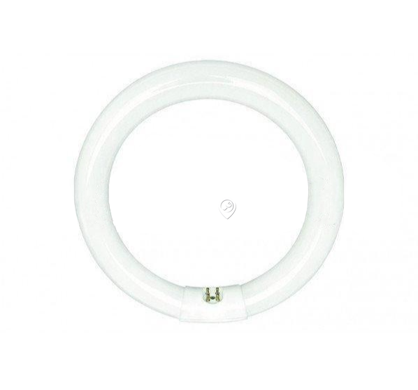 Sylvania - Lumină circulară TL FC32W/840 Alb rece - 01964 - pentru Iluminat