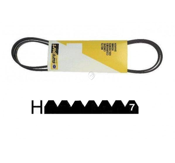 Universal - Curea poly-v 1951 h7 - 481235818156 - pentru Uscător de haine BAUKNECHT - 481935828001