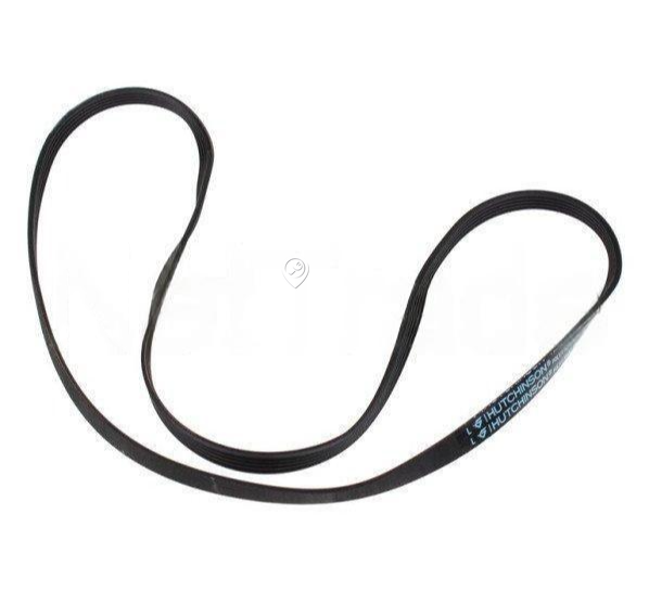 Ariston - Curea poly-v 1194 j5 elastică - C00144656 - pentru Mașină de spălat haine