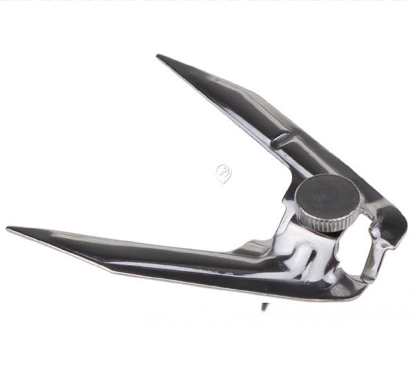 Delonghi - Furcă completă pentru frigarui - (304)(2p.piatte)(zsd) eo38 - 5511810161 - pentru Plită/Cuptor