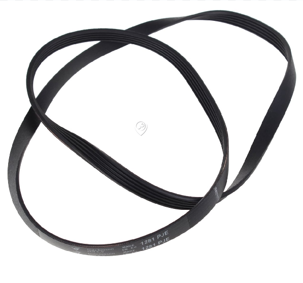 Fagor / Brandt - Curea poli-V --- 1281pj5 - elastică - AS0033204 - pentru Mașină de spălat haine