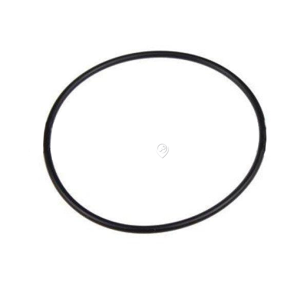 Leader - Garnitură O-ring pentru prefiltre - PTA99501A - pentru Pompă submersibilă/Hidrofor