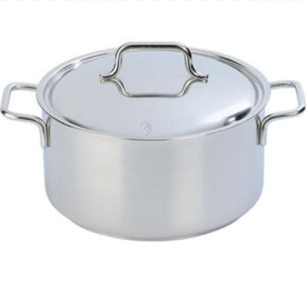 Demeyere - Oală Apollo cu capac 20 cm 3 l - 44320