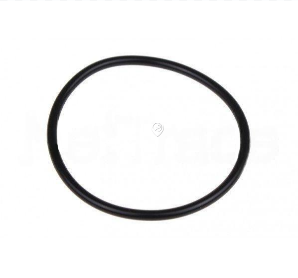Saeco - Garnitură O-ring pentru boiler - 167 in EPDM 70 SH - DM0041082