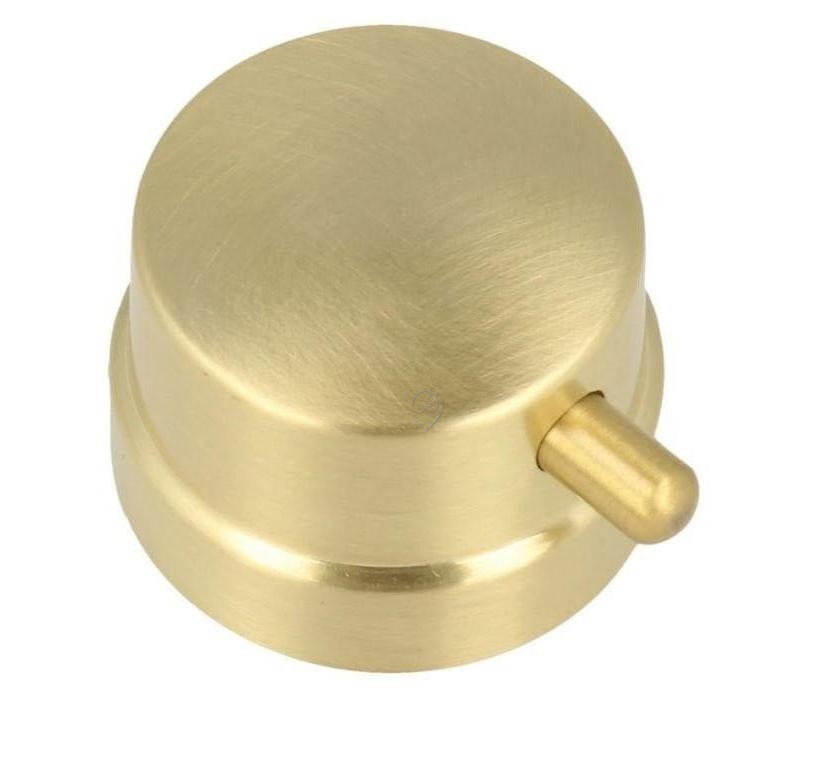 Buton Vintage Auriu Beko 150240063 pentru Aragaz