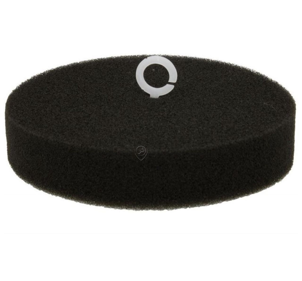 Filtru Burete Aspirator Vertical Rowenta GROUPE SEB RS-RT900606