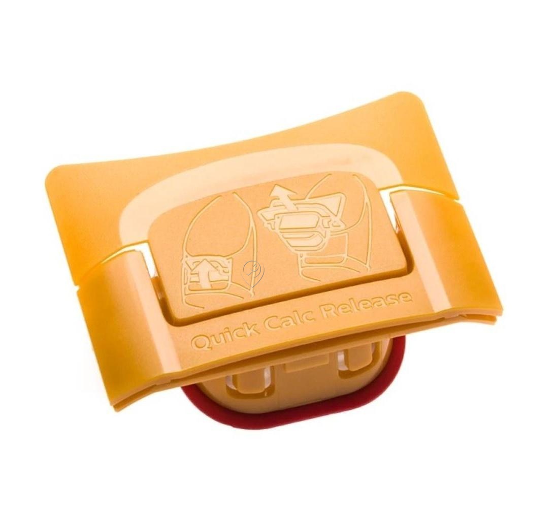 Recipient detartrare CP2042/01 Philips pentru fier de calcat GC493430